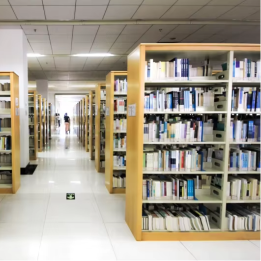 Home Office And Library - Prateleira para livros dupla face, direto