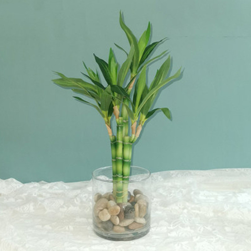 Novo 40cm rftificial sorte bam - Desktop Organizer Bamboo avaliação e preço