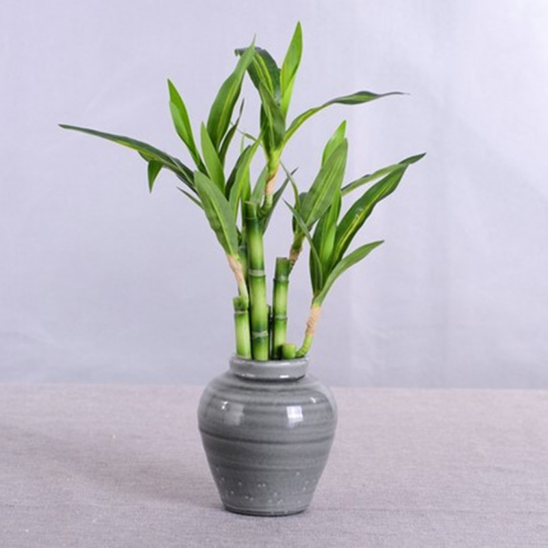 Novo 40cm rftificial sorte bam - Desktop Organizer Bamboo avaliação e preço